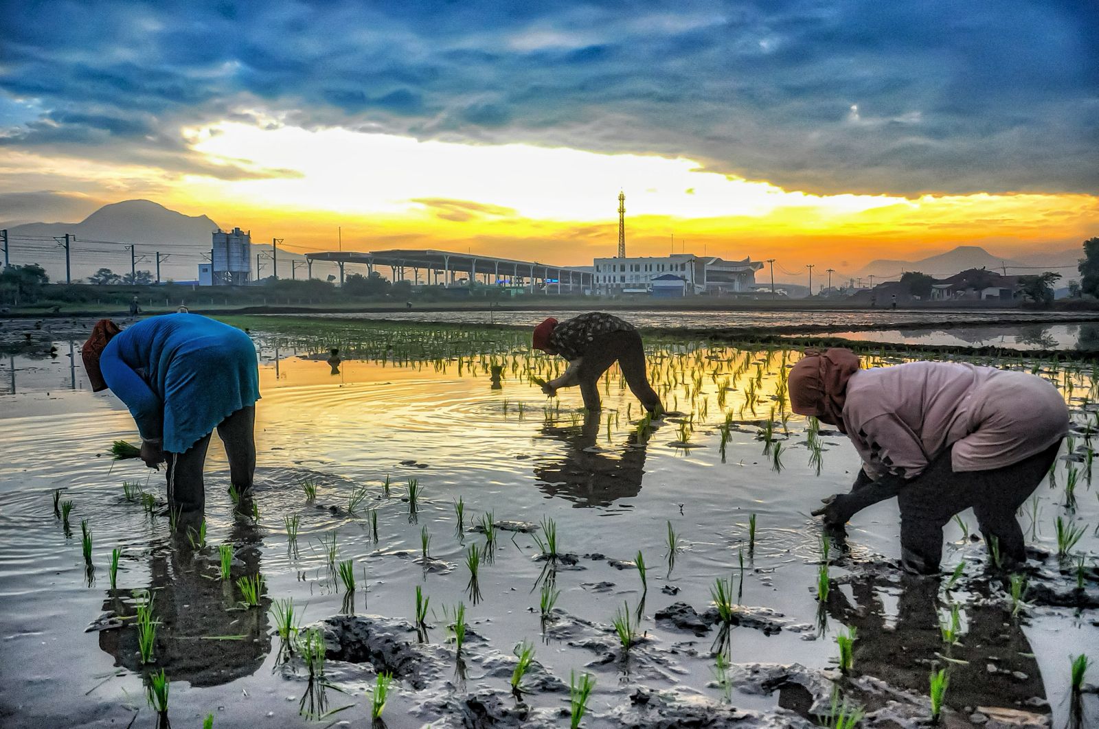 BRI sebagai mitra pemerintah dalam memperkuat sektor prioritas yang mendukung pertumbuhan ekonomi dan kesejahteraan masyarakat.