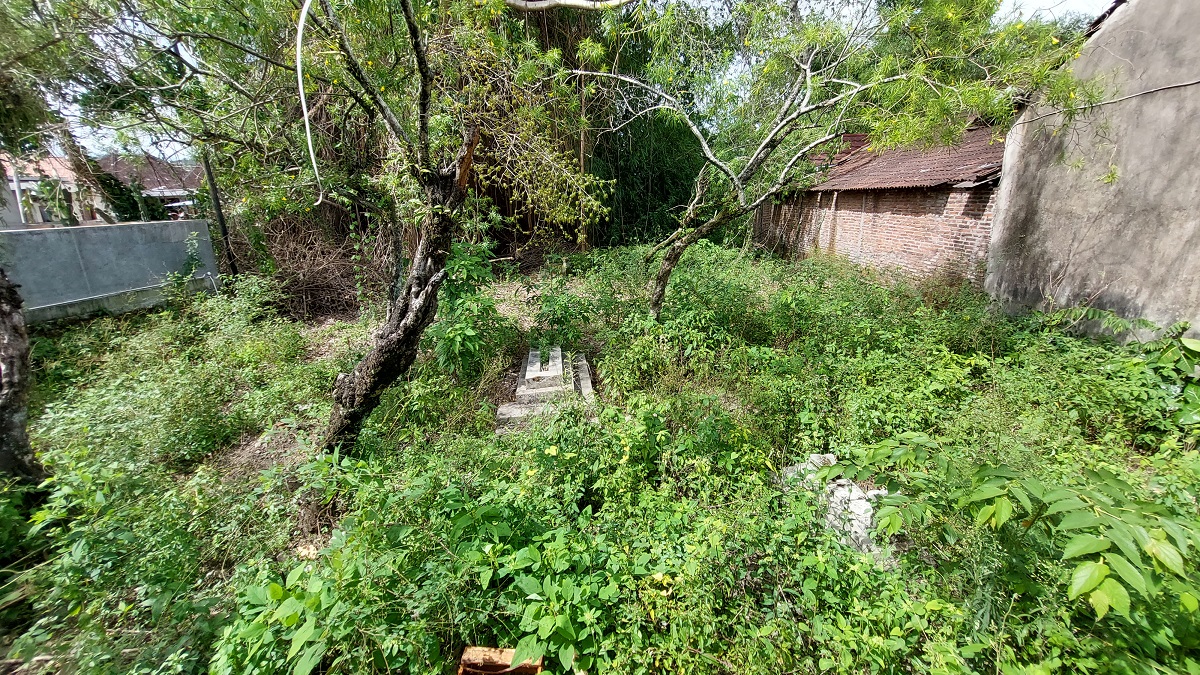 Bagian dalam kompleks makam Kaman Hindu yang dipenuhi rerumputan.