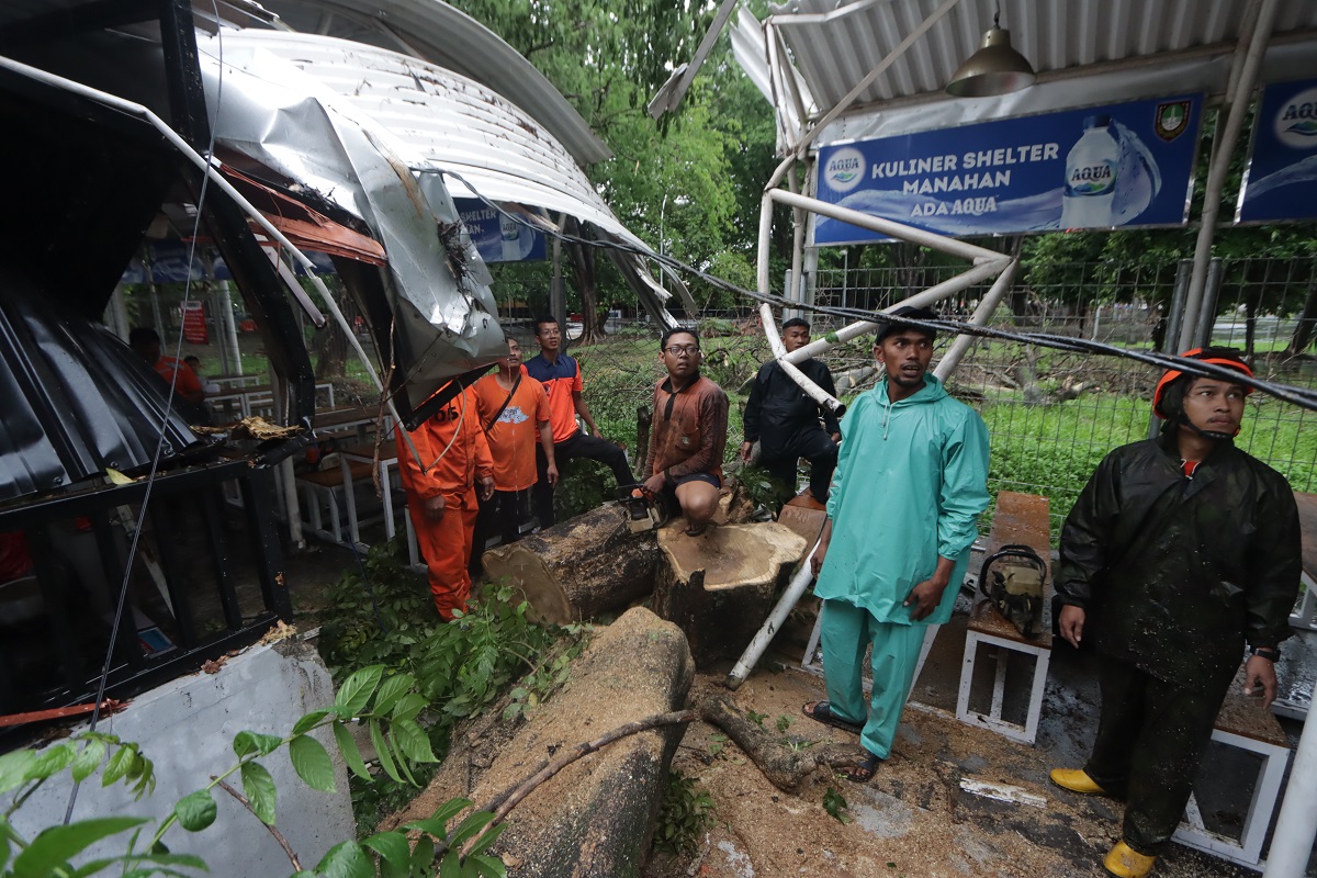 Kondisi salah satu Shelter Manahan yang rusak akibat tertimpa pohon tumbang.