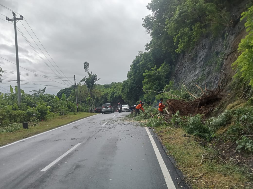 Penanganan pohon tumbang di jalur Wonogiri-Pracimantoro. Tepatnya di wilayah Gunung Belah, Kelurahan Wuryorejo Kecamatan Wonogiri Kota, Selasa (10/12/2024).