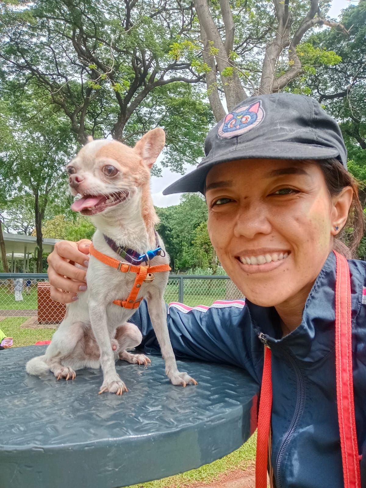 Andini Putri bersama anjing Chihuahua kesayangannya. (Dokumentasi Pribadi)