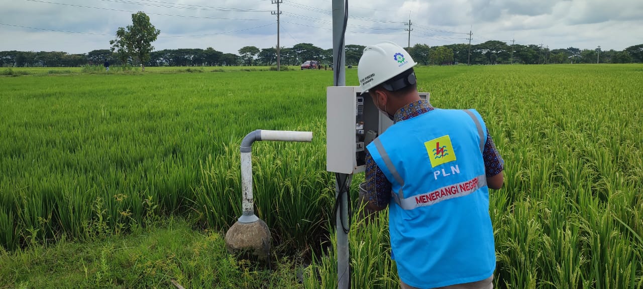 Pemasangan instalasi listrik untuk sumur dalam di lahan pertanian wilayah Sragen. (Ahmad Khairudin/Radar Solo)