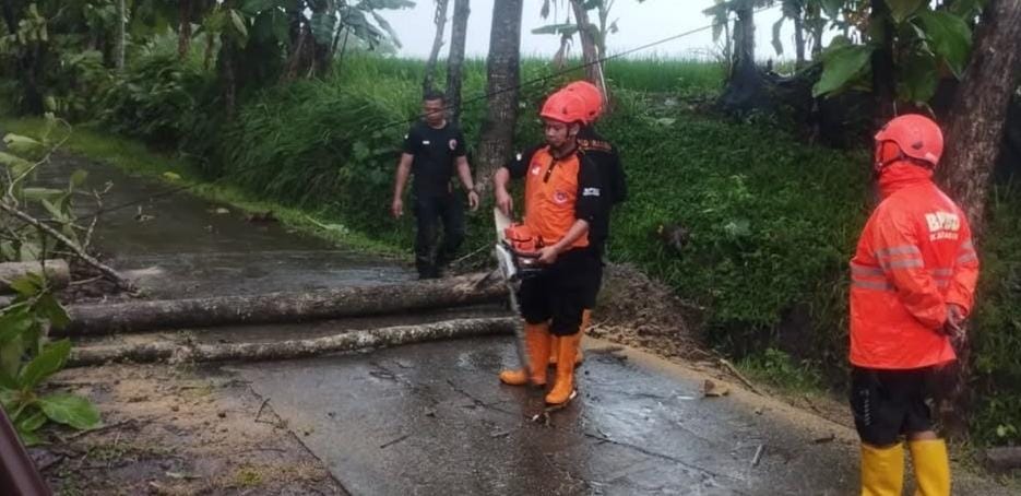 Tim BPBD Sragen evakuasi pohon tumbang yang melintang di jalan, Minggu (22/12/2024). (Ahmad Khairudin/Radar Solo)