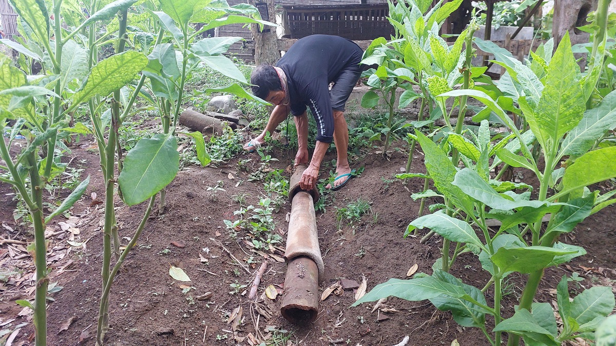 Penemuan pipa terakota berbahan gerabah di Desa Ringinlarik, Kecamatan Musuk, Boyolali.