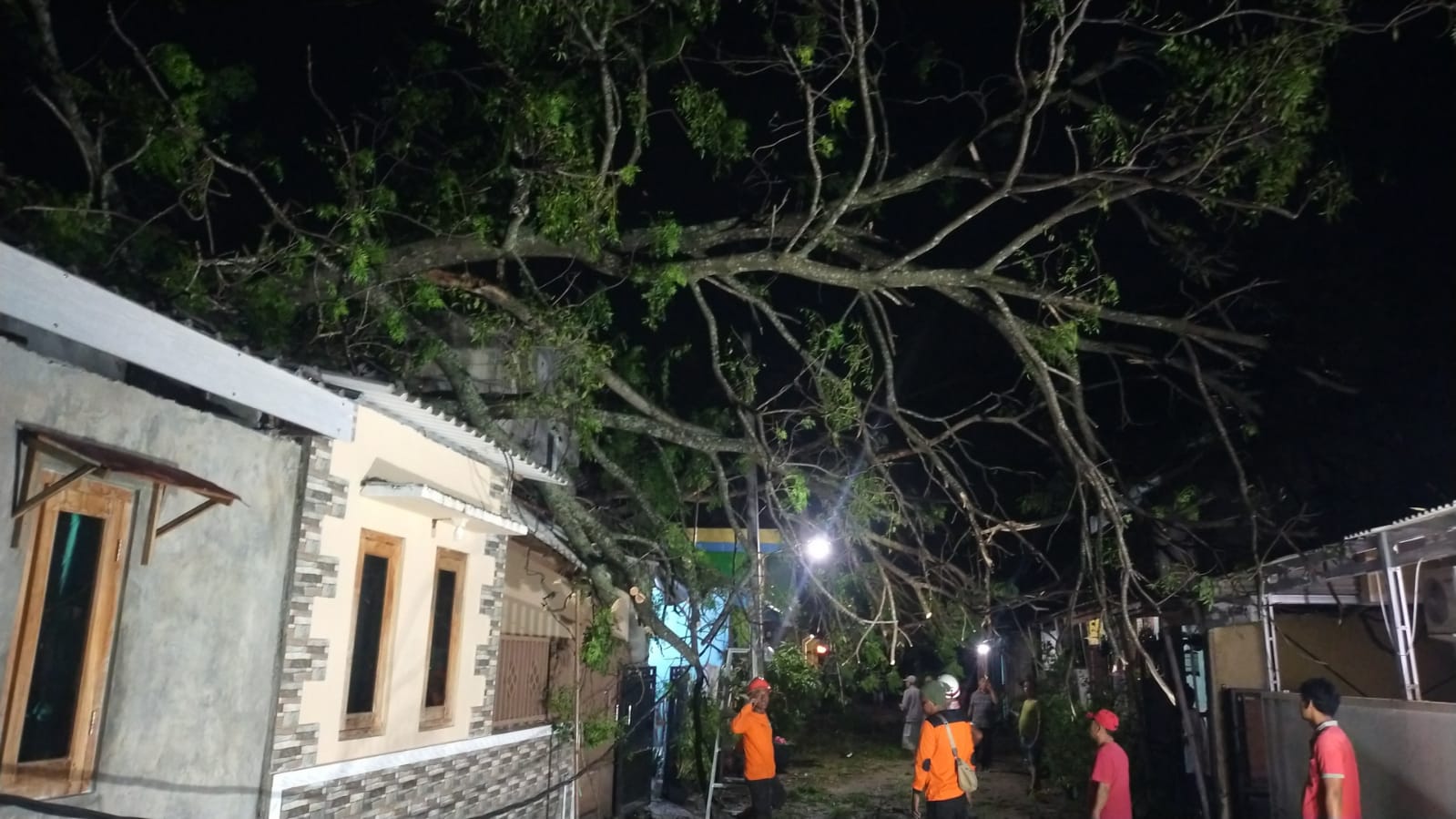 Pemangkasan pohon tumbang yang menimpa rumah warga di Kecamatan Teras, Boyolali, Kamis (26/12/2024).
