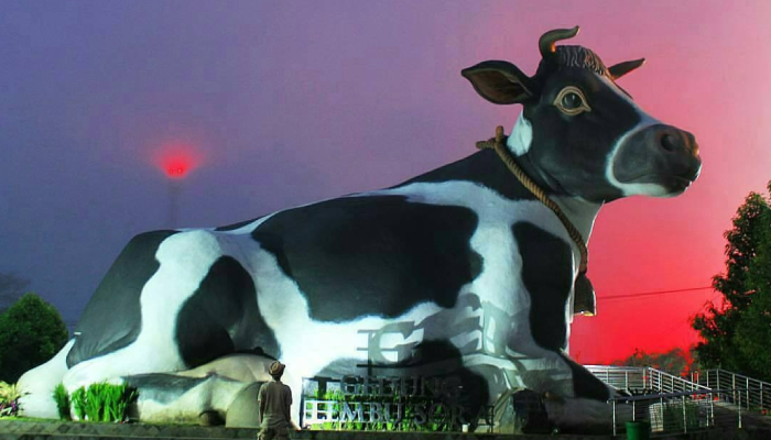 Patung Sapi Lembu Suro yang jadi salah satu ikon Boyolali, berada di Alun-Alun Kidul Boyolali.