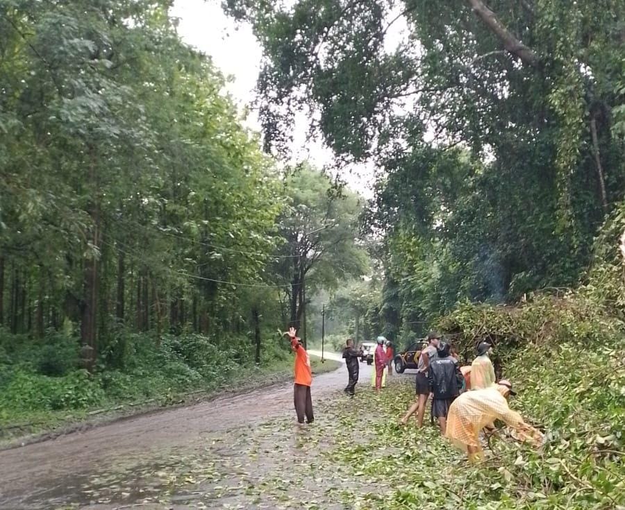 Evakuasi pohon tumbang di wilayah Gunung Pegat Desa Bumiharjo Kecamatan Nguntoronadi Minggu (5/1/2025) pagi.