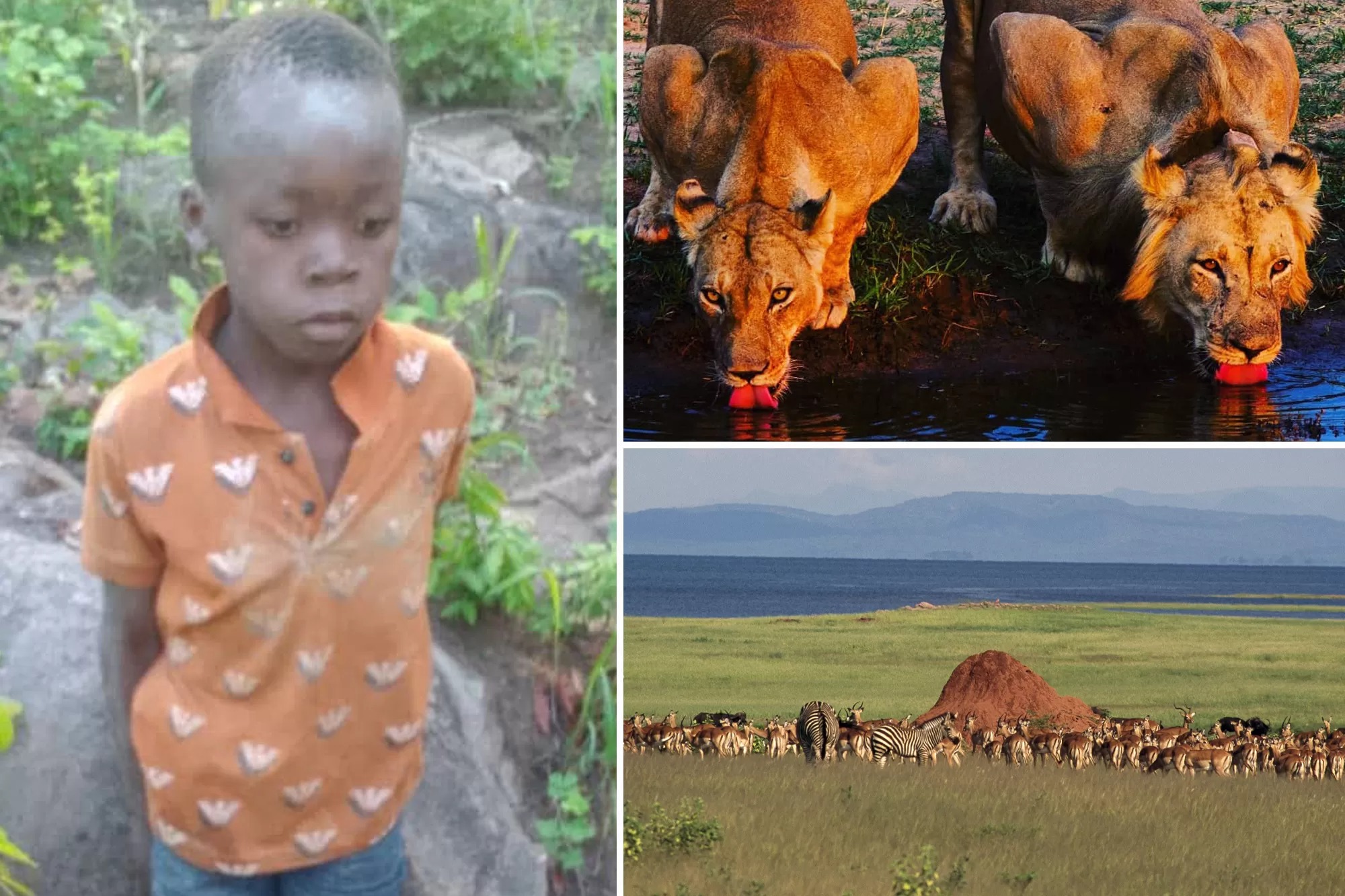 (kiri) Tinotenda Pundu, bocah asal Zimbabwe yang hilang di cagar alam liar selama 5 hari. (kanan) Suasana di Taman Nasional Matusadona.