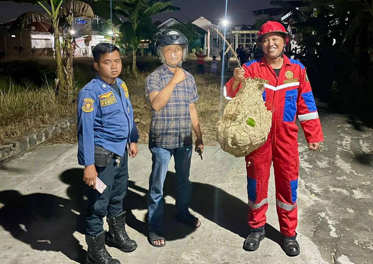 Tim Damkar Karanganyar mengevakuasi sarang tawon yang membahayakan warga. (Rudi Hartono/Radar Solo)