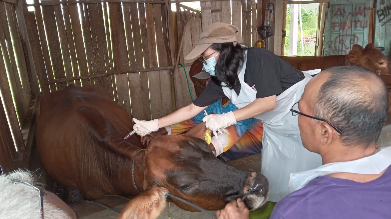 Vaksinasi di Kandang Komunal Desa Pranan, Kecamatan Polokarto, Sukoharjo.