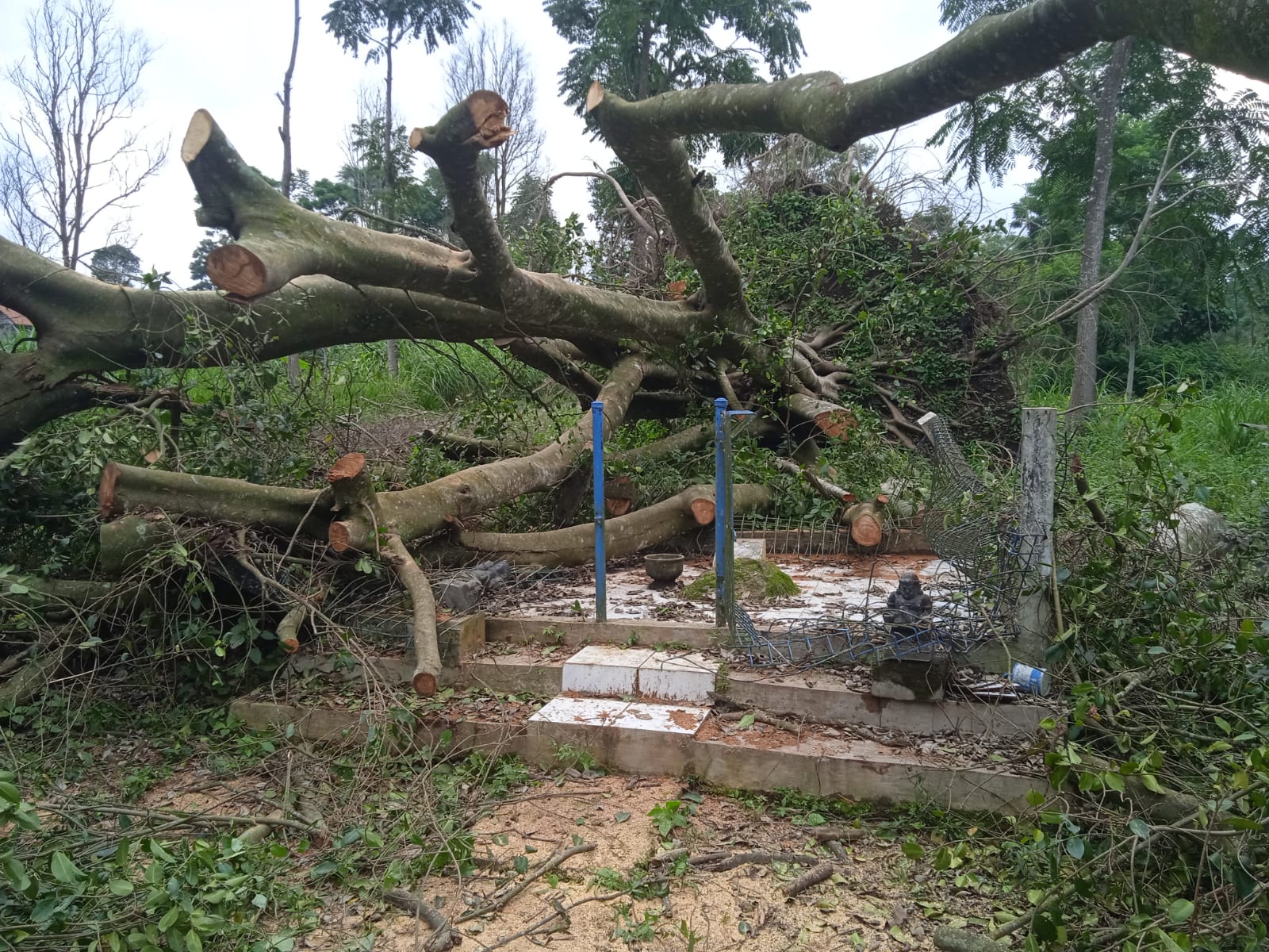 Kondisi Situs Tepak Noto di Boyolali yang porakporanda terdampak angin kencang. Tampak pohon beringin yang tumbang, Minggu (19/1).