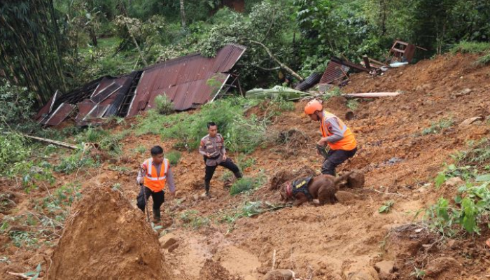 Polda Jateng terjunkan anjing pelacak untuk membantu pencarian korban tertimbun longsor di Petungkriyono, Pekalongan.