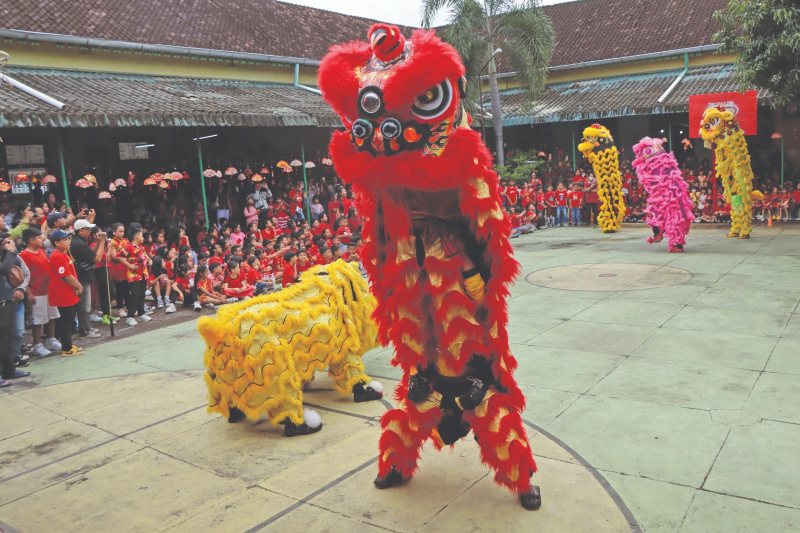 LINCAH: Atraksi barongsai yang menghibur siswa TK dan SD Warga Solo, Rabu (22/1/2025).