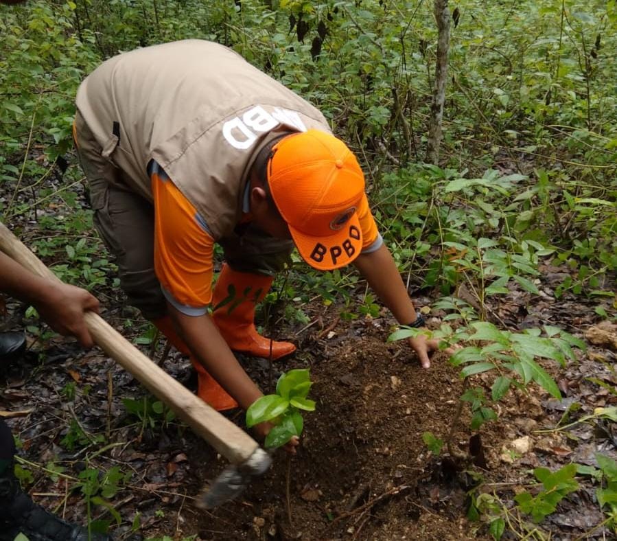 BPBD Wonogiri tanam bibit pohondi wilayah Desa Selomarto, Kecamatan Giriwoyo, Kamis (23/1/2025).