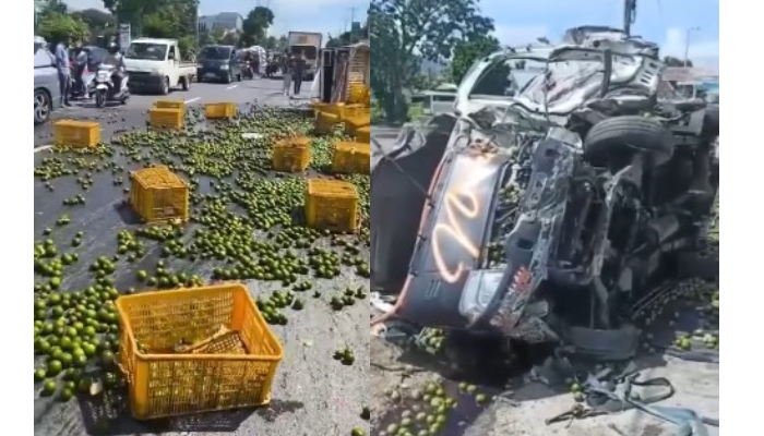 Kecelakaan pick up terguling membuat buah jeruk berhamburan di Jalan Solo-Jogja, Desa Sanggrahan, Kecamatan Prambanan, Klaten, Sabtu (25/1/2025).