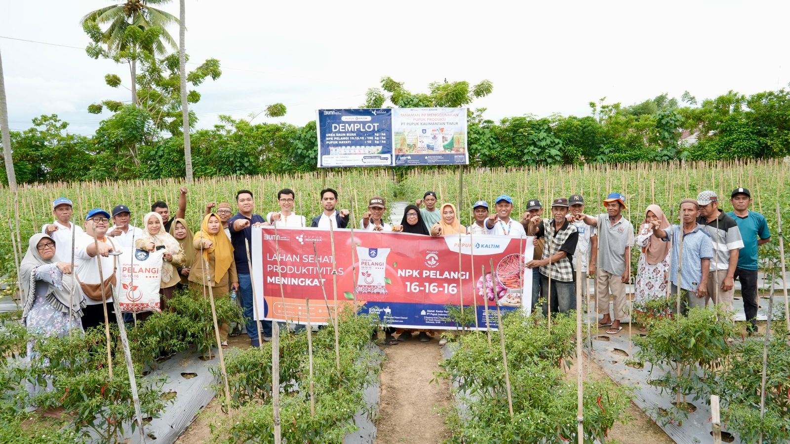 Pupuk Kaltim bantu pemerintah mengantisipasi persoalan mendasar petani di lapangan. Seperti rusaknya sarana irigasi, penyediaan benih unggul, dan penyediaan pupuk.