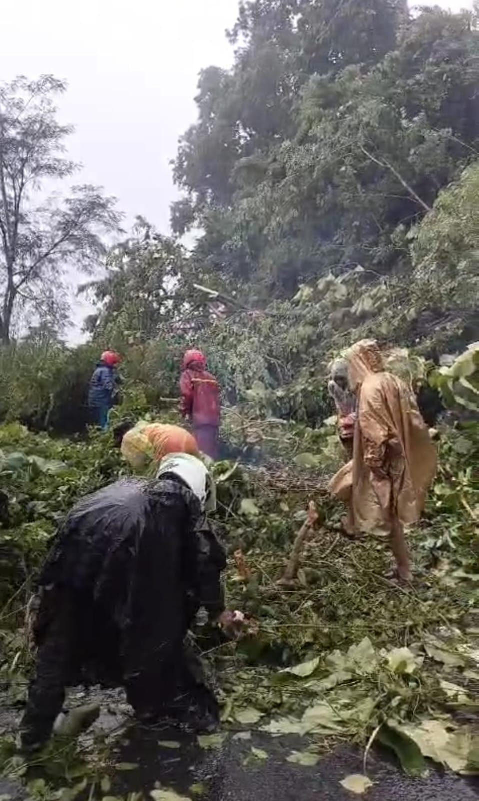 Pembersihan dahan pohon tumbang di kawasan Gunung Pegat Wonogiri akibat longsor, Rabu (29/1/2025).