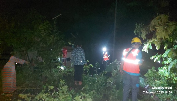 Pohon tumbang di Selogiri tutup akses jalan.