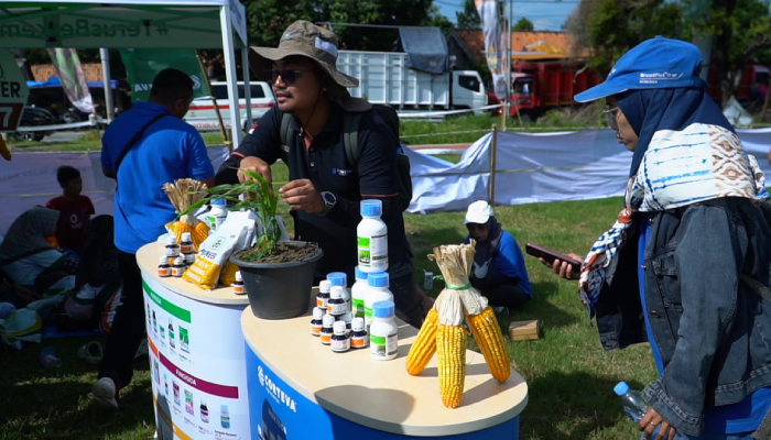 Festival Pioneer P27 yang digelar di lapangan Desa Ledokdawan, Kecamatan Geyer, Grobogan.