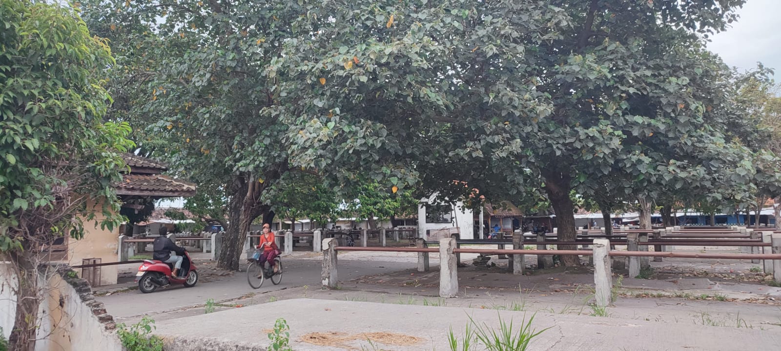 Pemkab Sragen menutup aktivitas jual beli ternak di pasar hewan hingga saat ini.