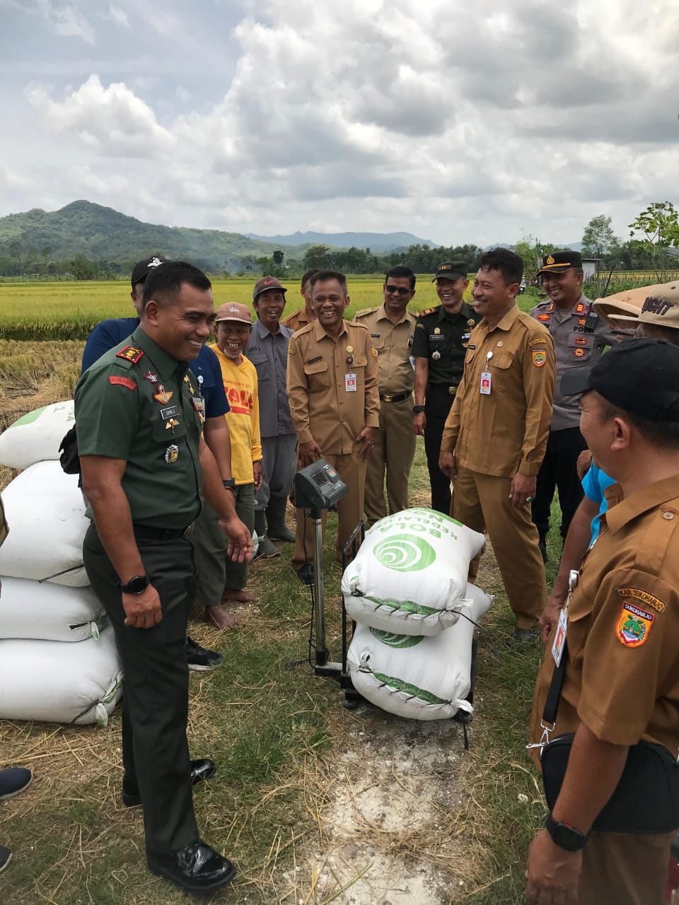 Satgas Pangan turun langsung ke lapangan untuk membeli gabah petani di Kecamatan Weru, Selasa (11/2/2025).