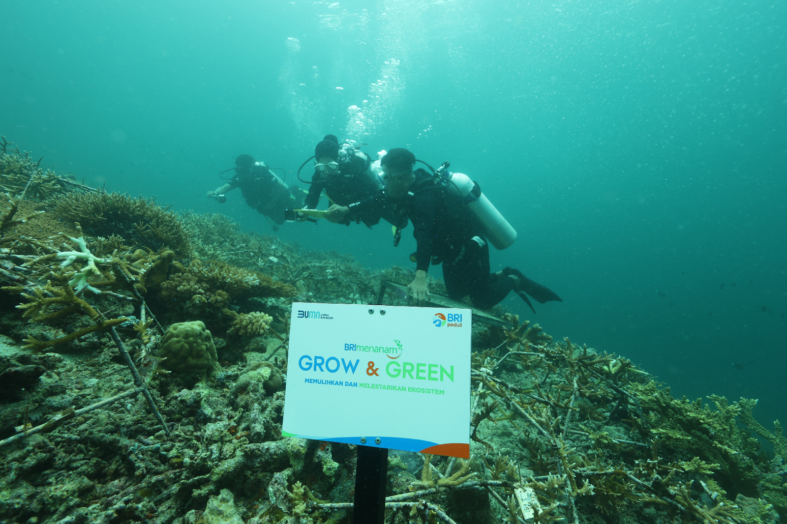 Kelompok Maratua Peduli Lingkungan (MPL) dan Yayasan Ekonomi Keanekaragaman Hayati Laut Indonesia, serta BRI melalui program BRI Peduli lestarikan terumbu karang di Pulau Maratua, Kaltim.