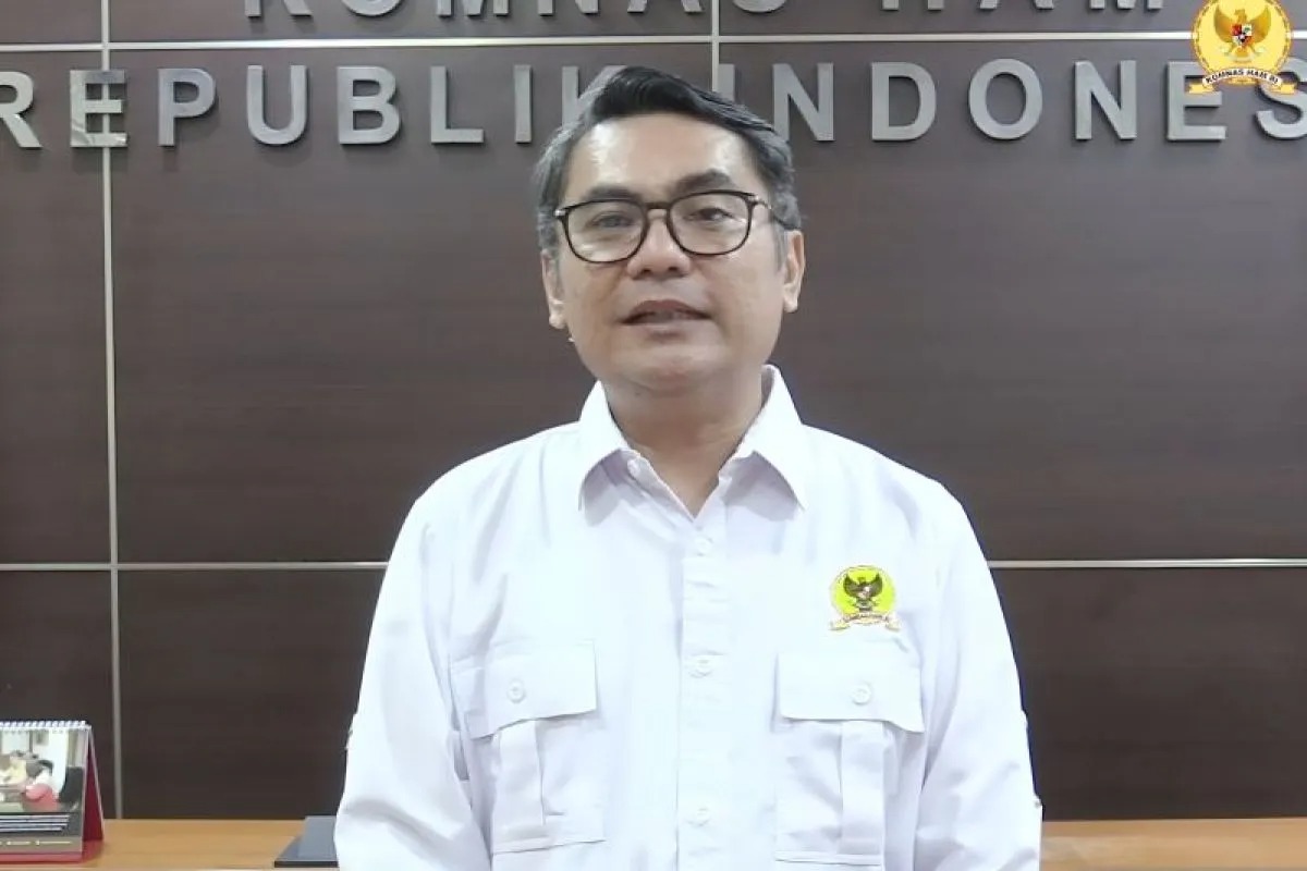 Koordinator Subkomisi Penegakan HAM Komnas HAM RI Uli Parulian Sihombing menyampaikan keterangan pers secara daring, Senin (8/7/2024).