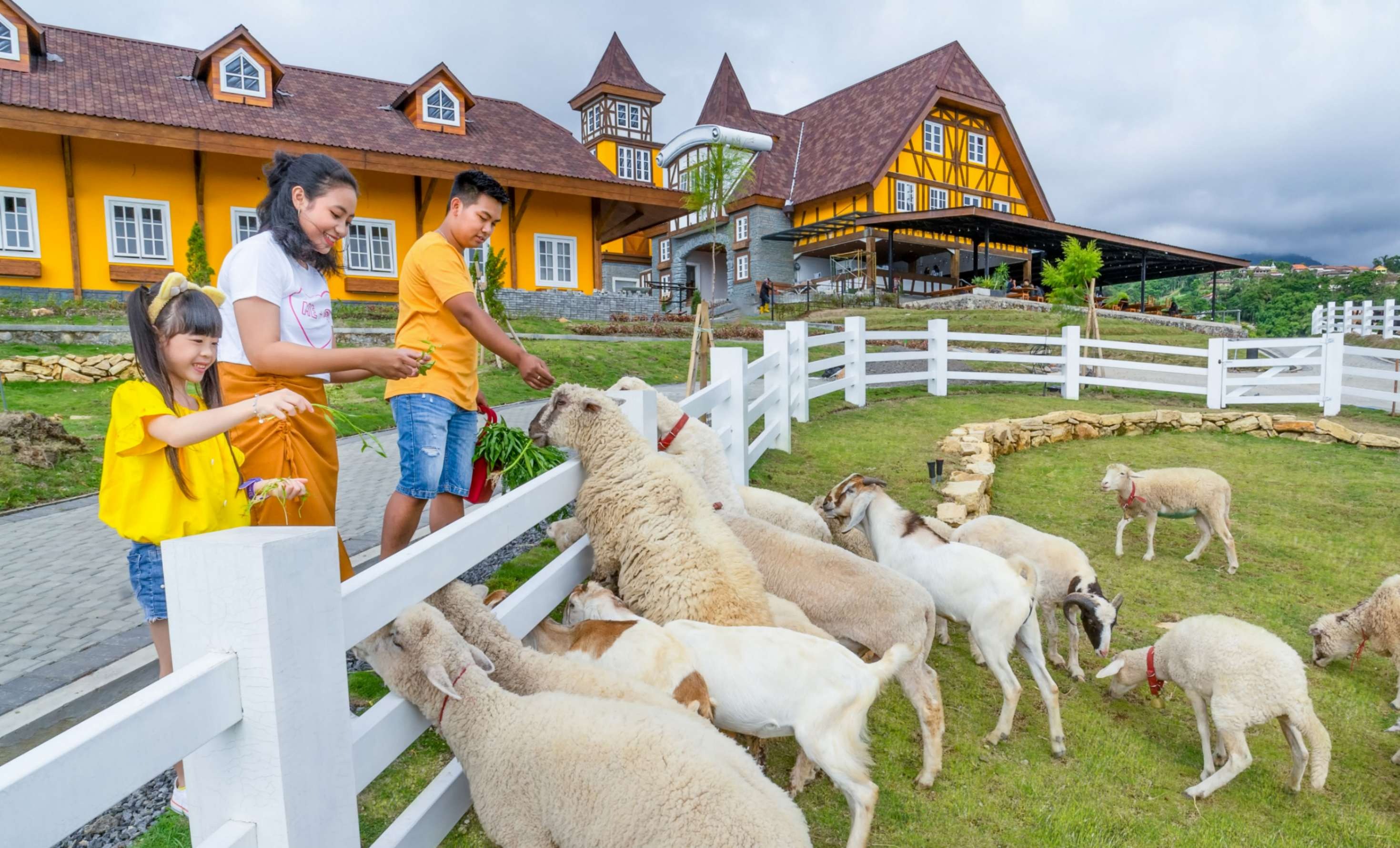 Suasana di Cepogo Cheese Park yang ada di di Dusun II, Genting, Kec. Cepogo, Kabupaten Boyolali, Jawa Tengah.