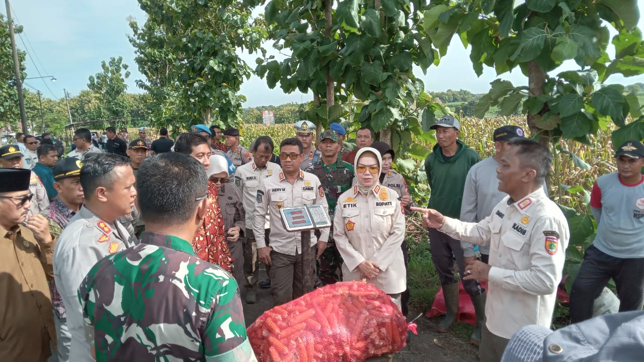Polres Sukoharjo bersama jajaran Forkopimda menggelar panen jagung di Desa Rejosari, Kecamatan Polokarto, pada Jumat (7/3/2025).