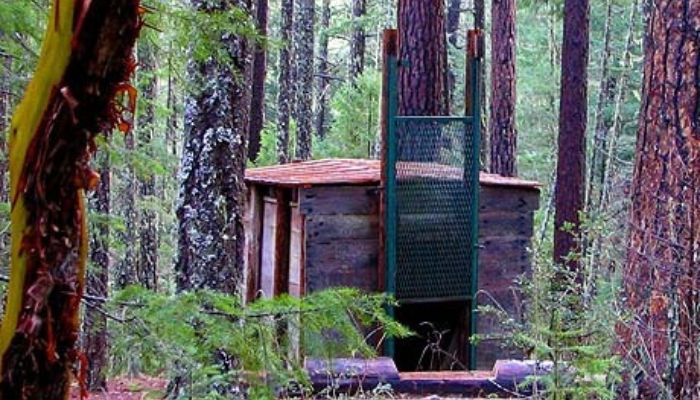Kandang perangkap sasquatch yang berada di Hutan Nasional Rogue River&ndash;Siskiyou.