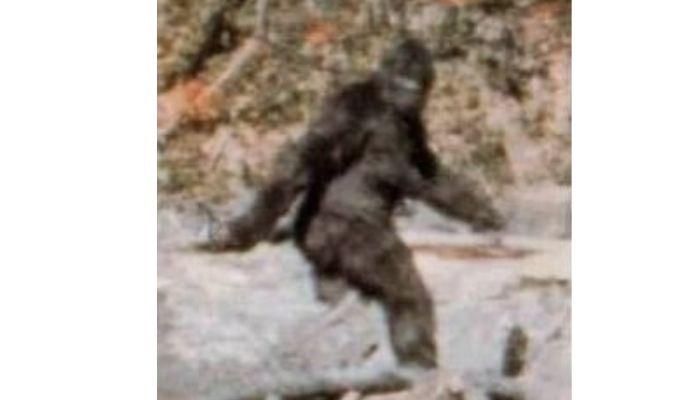 Tangkapan layar dari video milik Patterson-Gimlin tahun 1967