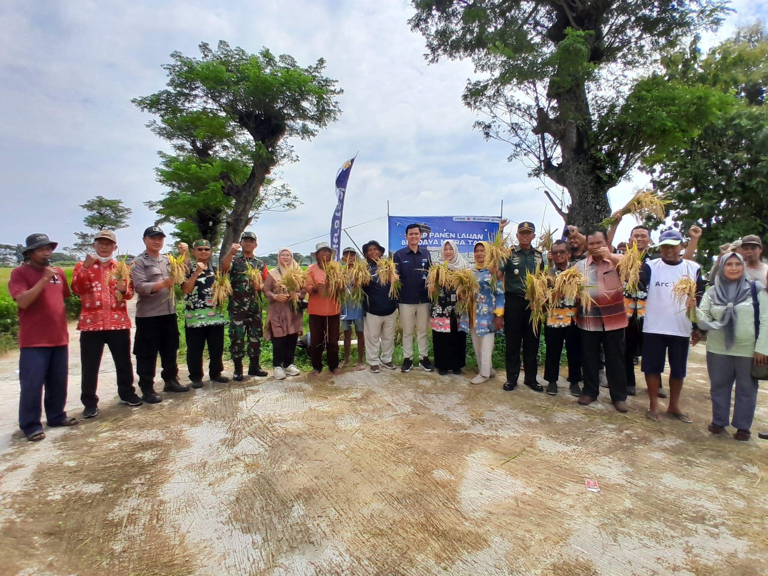Para petani dan Forkopimcam menunjukan gabah hasil panen di Desa Kwarasan, Kecamatan Juwiring, Klaten. (Dokumentasi Petani Kwarasan)