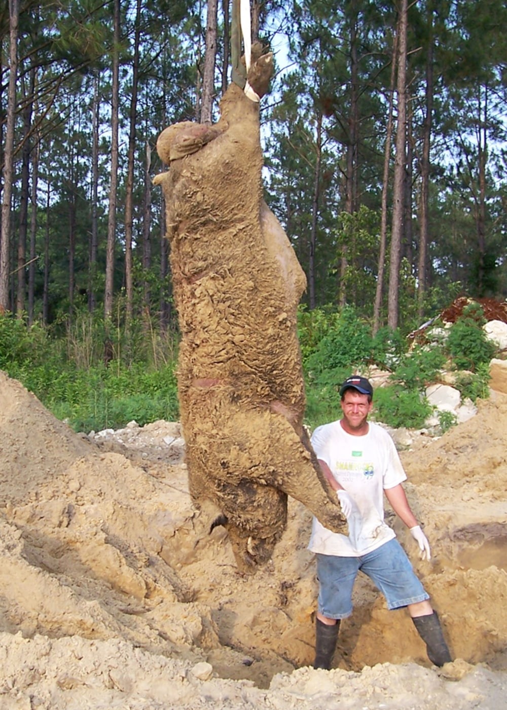 Bangkai Hogzilla yang ditangkap oleh Chris Griffin