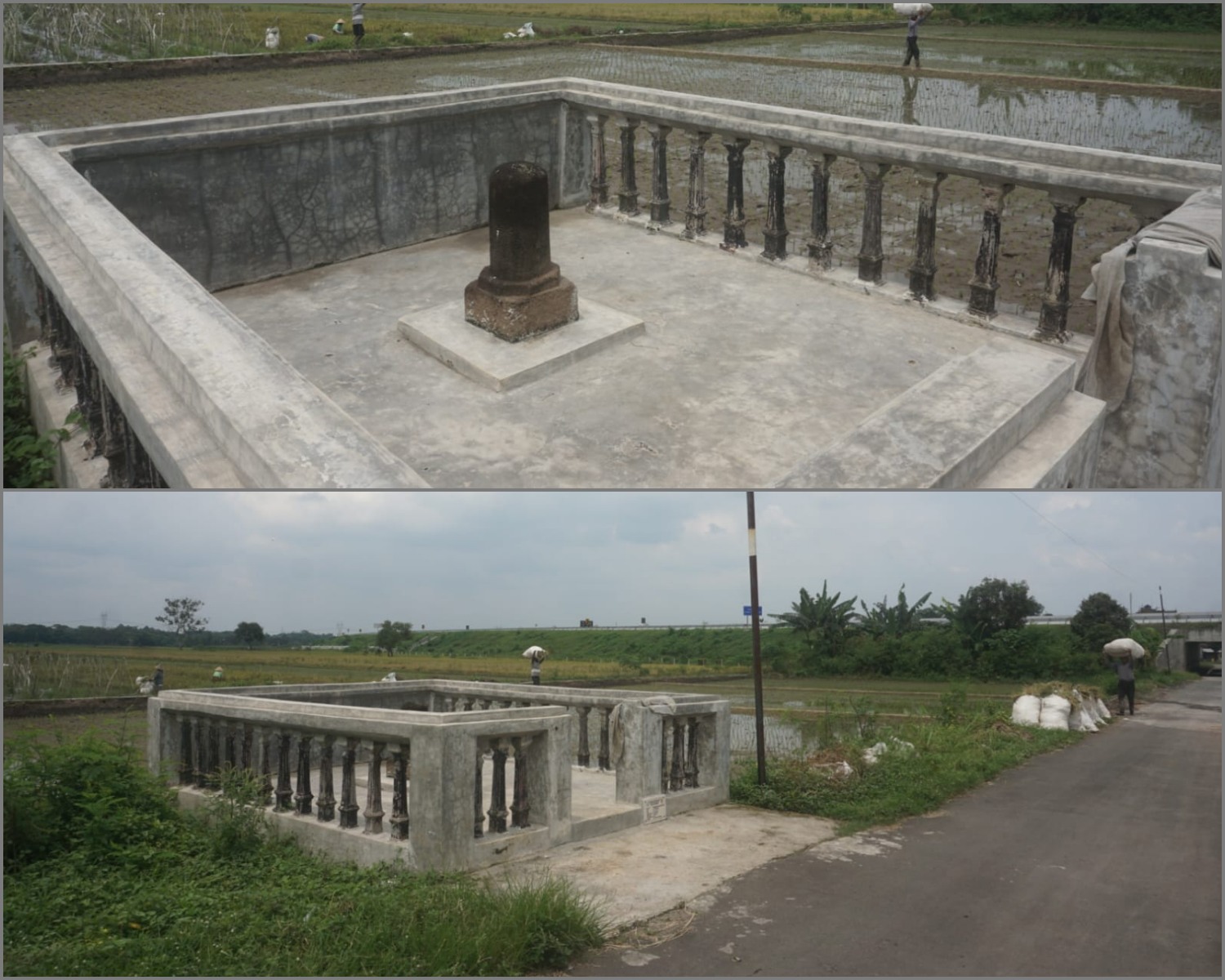 Kondisi Tugu Manten di Desa Brangkal, Kecamatan Karanganom, Klaten. Foto bawah, Tugu Manten terletak di tengah areal persawahan Desa Brangkal.