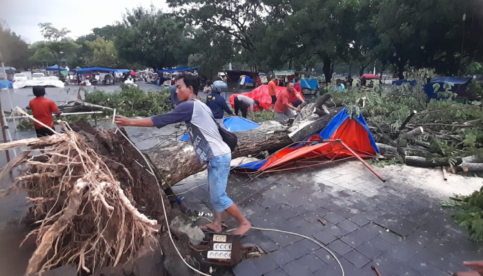 Kondisi pohon tumbang di Plaza Alun-Alun Karanganyar yang memakan korban saat hujan es, Jumat (21/3/2025).