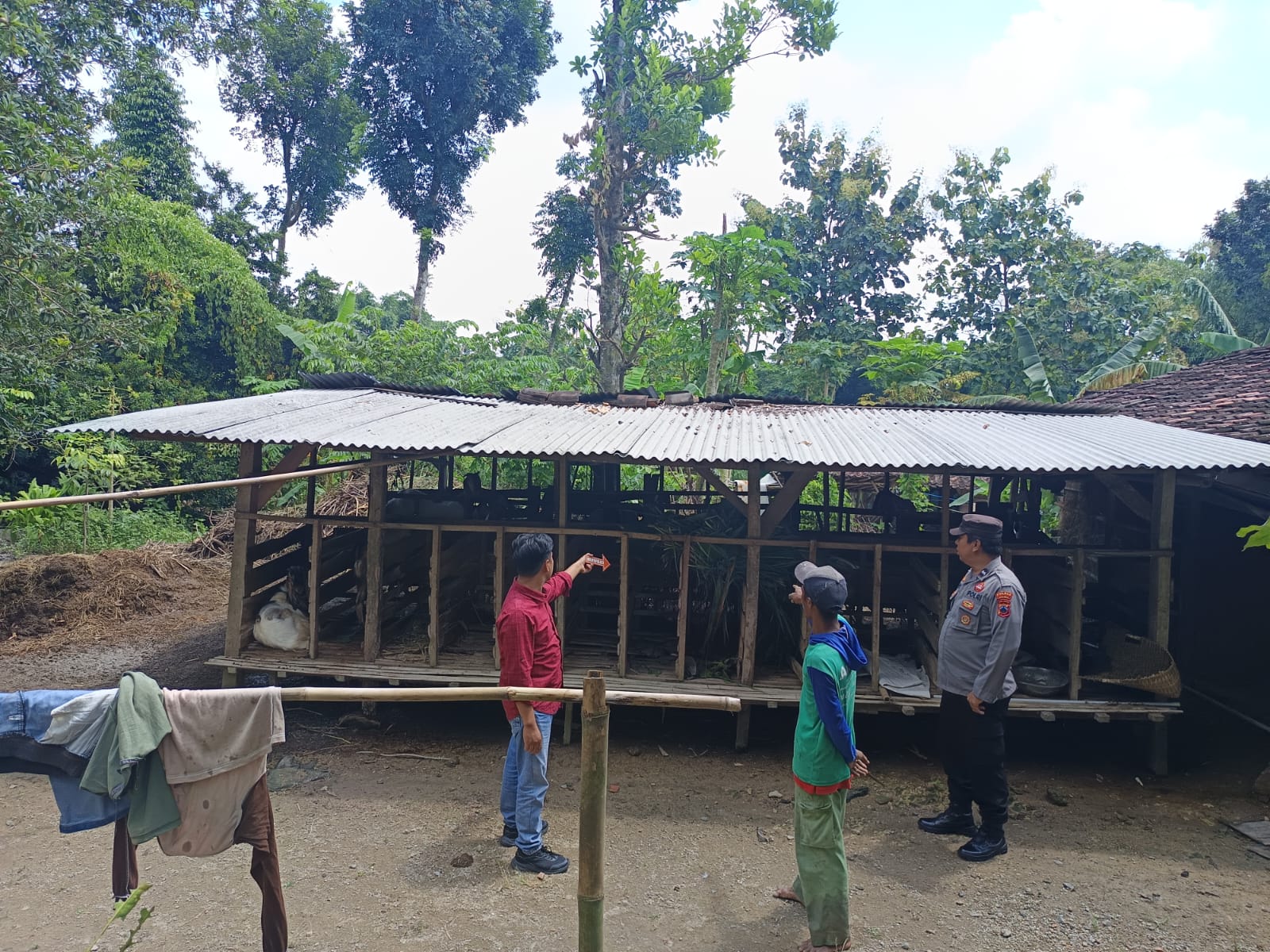 Kandang kambing milik seorang petani, Suwardi yang terkena tipu transaksi jual beli kambing.