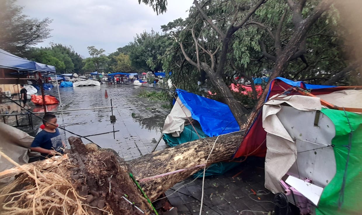Kondisi tenda yang tertimpa pohon yang jatuh di kawasan Plaza Alun-Alun Karanganyar usai hujan es dan angin kencang menerjang kawasan tersebut, Jumat (21/3/2025).