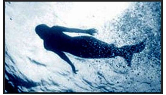 Foto diduga siren yang diambil oleh Leicher