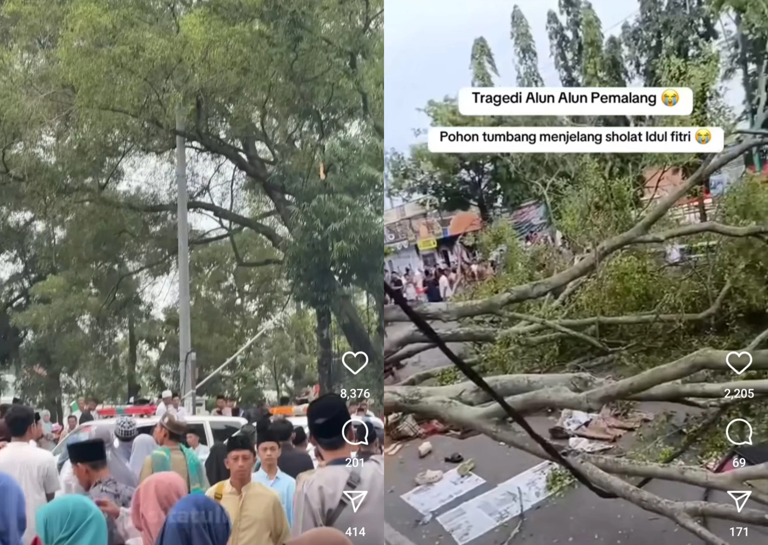 Ini tangkapan layar video yang nemperlihatkan musibah pohon tumbang disaat warga tengah menjalani Salat Ied di Pemalang, Jawa Tengah, Senin (31/3/2025).