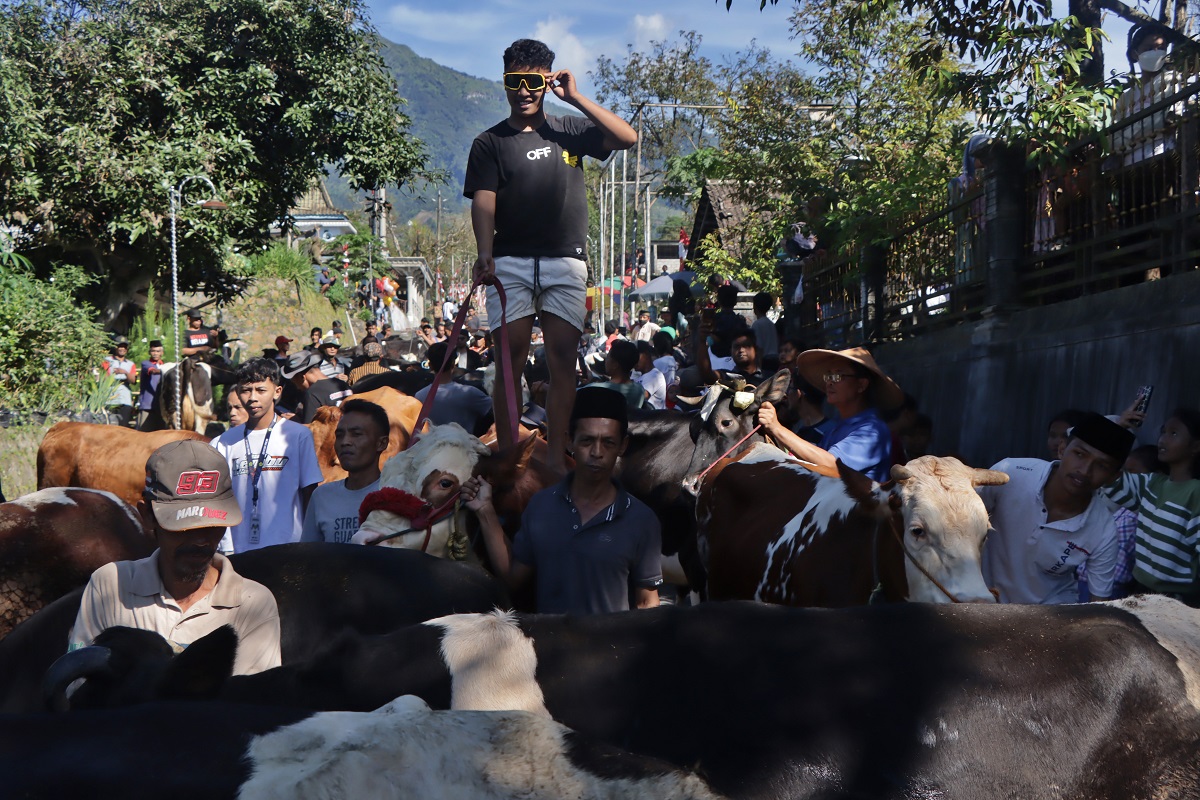 Ribuan warga menyemut di Desa Sruni, Kecamatan Musuk, Boyolali untuk mengarak hewan ternak dalam tradisi  Bakdan Sapi, Senin (7/4/2025).