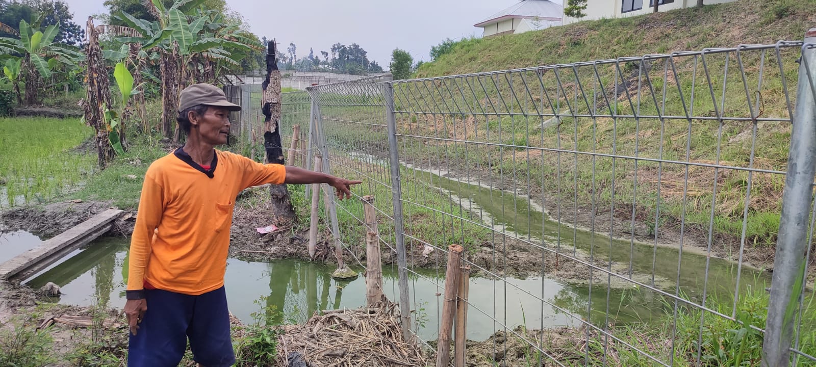 Ginaryo, seorang petani asal RT 9 Desa Pagak menunjukkan genangan air dari limbah&nbsp;PT Charoen Pokphand.