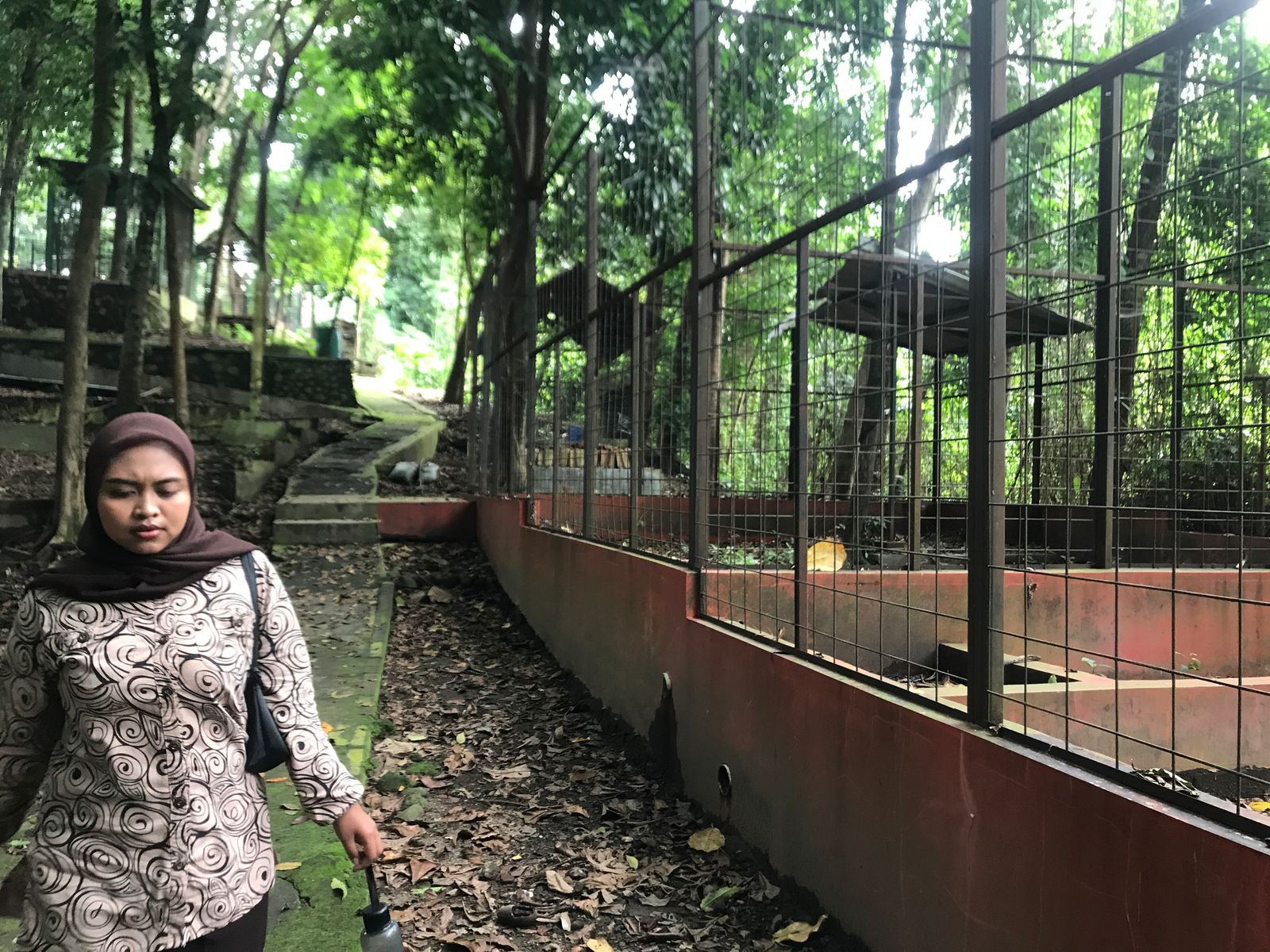 Kondisi hutan kota di samping Simpang Lima (Simpang Siaga) Kelurahan Siswodipuran, Kecamatan Boyolali, Minggu (20/4/2025).