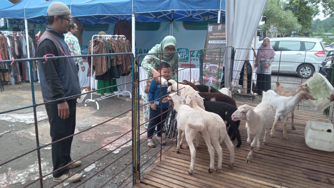 Ilustrasi, Warga memberi minum susu anak-anak domba/kambing di halaman Gedung IPHI Sukoharjo belum lama ini.