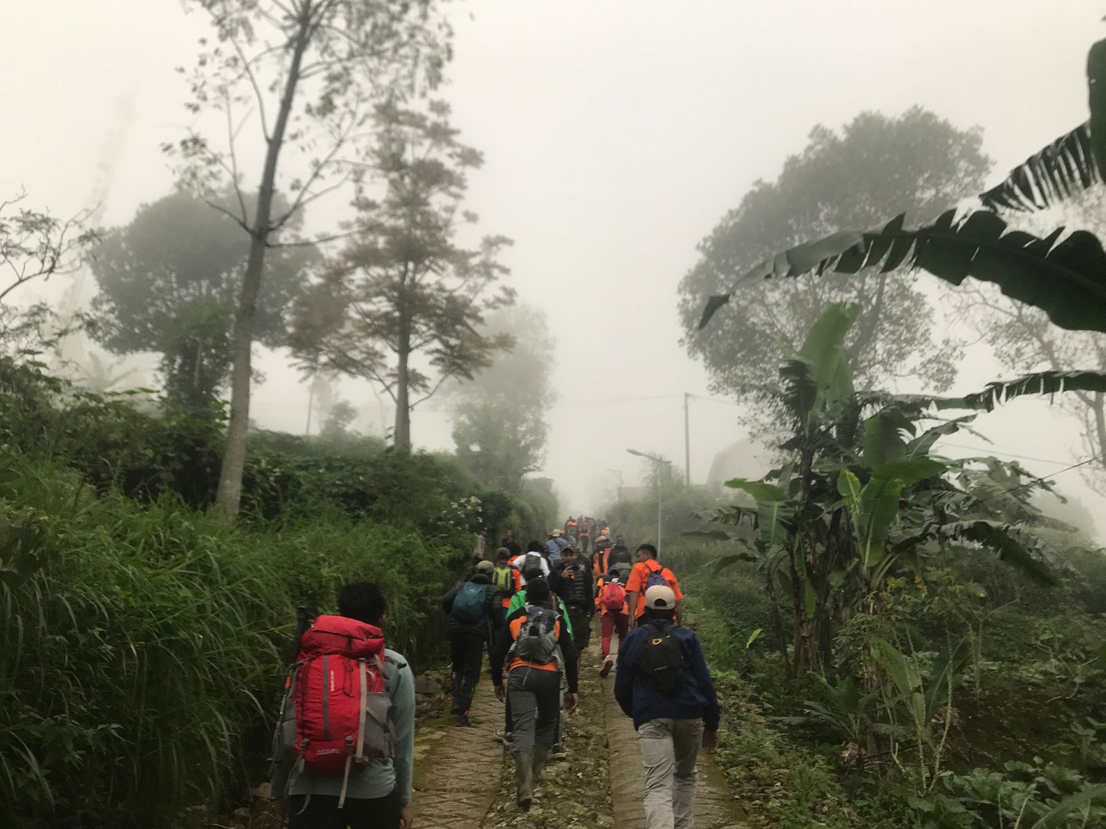 Hingga Selasa (22/4/2025), Tim SAR gabungan terus bergerak mencari Sugeng Parwoto, warga Temanggung yang hilang di Gunung Merbabu.