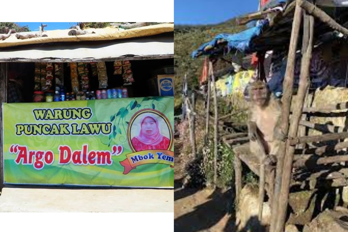 Warung milik Mbok Yem ini, sangat legendaris di kalangan pendaki gunung lawu. berikut adalah beberapa fakta dari warung Mbok Yem
