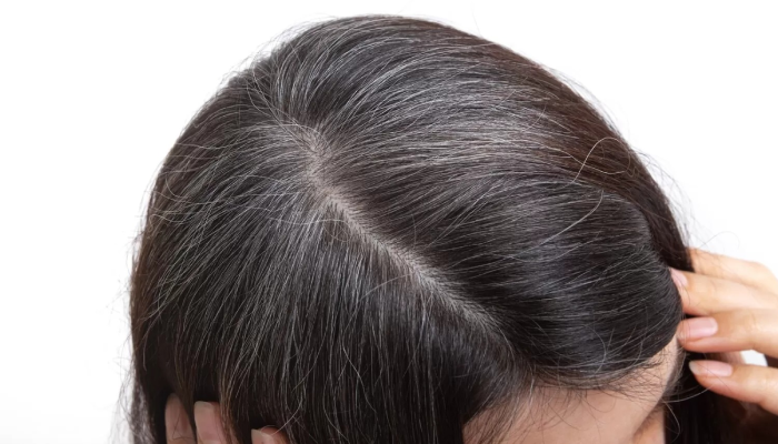 Ilustrasi rambut beruban.