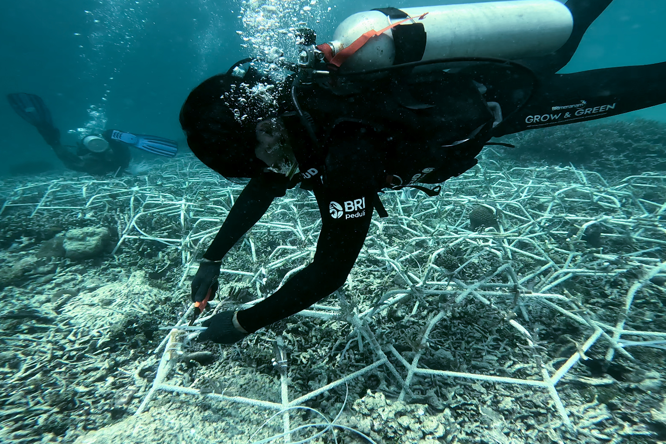 Gerakan konservasi masyarakat Kapoposang mendapat suntikan semangat dan fasilitas lewat program BRI Menanam - Grow & Green: Coral Reef yang dimulai pada 2023.