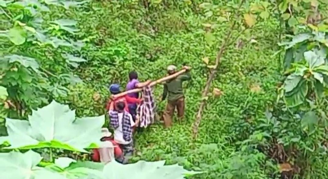 Sugiman, warga Dusun Krakal, Desa Tempurharjo, Kecamatan Eromoko, Wonogiri terpaksa ditandu setelah disengat tawon vespa di hutan.