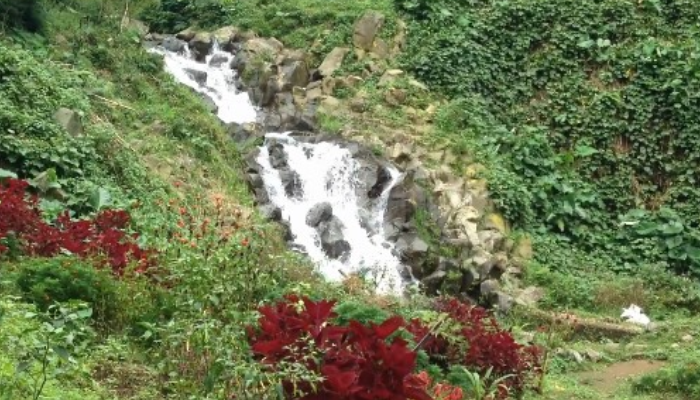Suasana Air Terjun Suren Karanganyar di tengah hamparan hijau dan warna-warni tanaman.