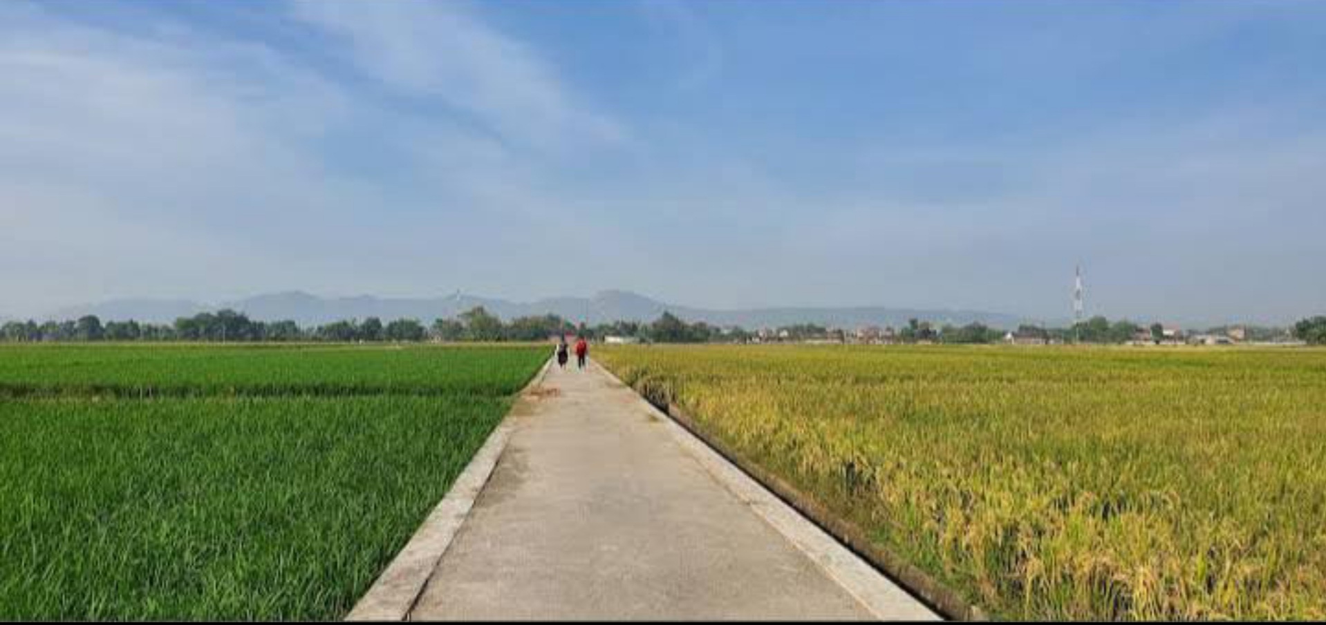 Menjing Sky View, destinasi baru yang sedang naik daun di kalangan anak muda.